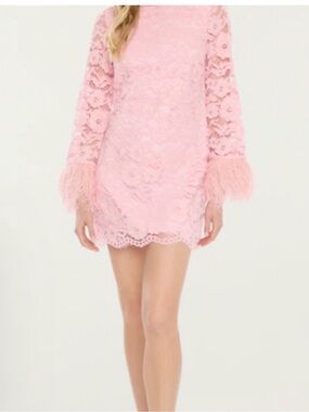 NWT - Likely Pink Lace Dress with Floral Overlay